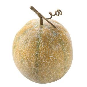 Galia Melone Lebensmittel-Attrappe 16 cm Ø