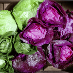 Rotkohl Lebensmittel-Attrappe, 13 cm Ø - 6