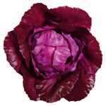 Rotkohl Lebensmittel-Attrappe, 13 cm Ø - 1