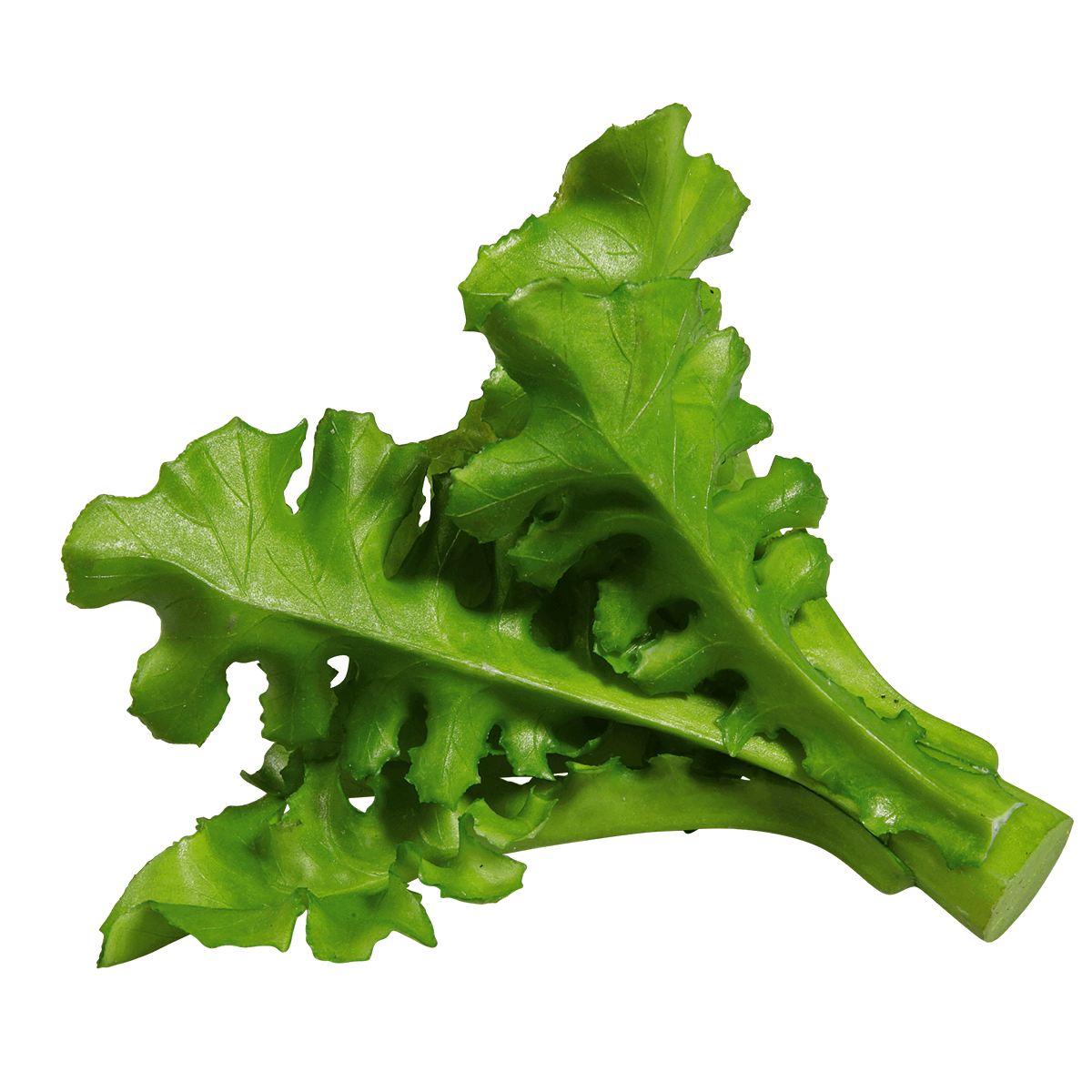 Imitación de ensalada de rúgula, Ø 16 cm, 2 piezas - 1 Imitación de ensalada de rúgula, Ø 16 cm, 2 piezas - 1