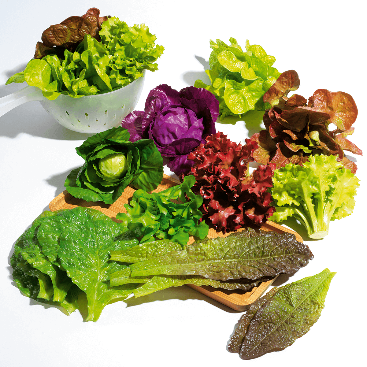 Imitación de ensalada de rúgula, Ø 16 cm, 2 piezas - 5 Imitación de ensalada de rúgula, Ø 16 cm, 2 piezas - 5