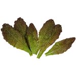 Romaine lettuce leaves green - red food replica, 6 pcs - 0