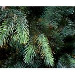 Artificial Christmas Tree Noble Fir 240 cm - 1