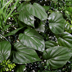Artificial wall panel Fern mix, 1 x 1 m - 9