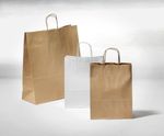 Paper carrying bag, white, size 1: 36 x 22 + 10 cm - 1