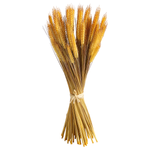 Decorative wheat bundle 60 cm - 2