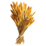 Decorative wheat bundle 90 cm - 2