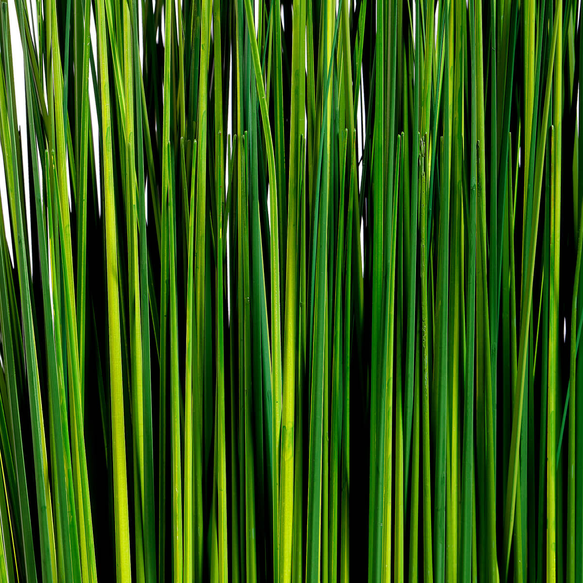 Manojo de hierba decorativa 76 cm - 2 Manojo de hierba decorativa 76 cm - 2