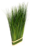 Decorative grass bundle 76 cm - 0