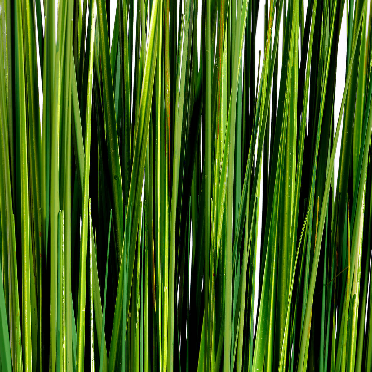 Decorative grass bundle 100 cm - 5 Decorative grass bundle 100 cm - 5