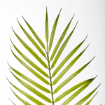 Kunstpalme Areca im Topf, 120 cm - 4