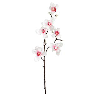 Künstlicher Edel-Magnolienzweig, weiß/rosa, 100 cm