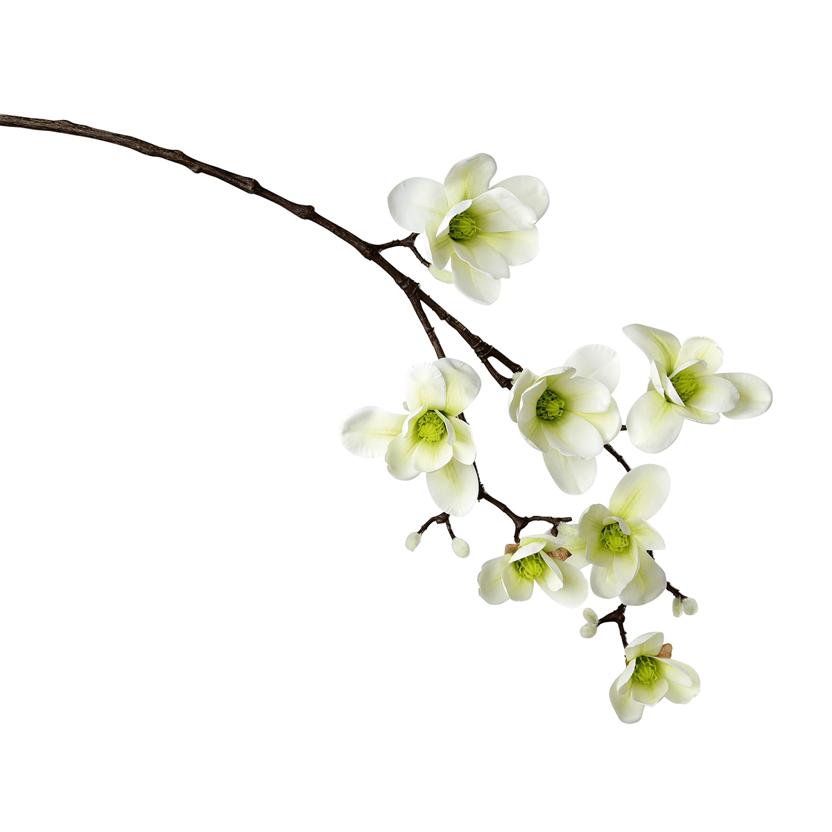 Artificial noble magnolia branch, white green, 100 cm - 1 Artificial noble magnolia branch, white green, 100 cm - 1
