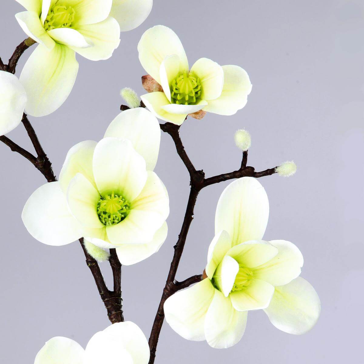 Artificial noble magnolia branch, white green, 100 cm - 2 Artificial noble magnolia branch, white green, 100 cm - 2
