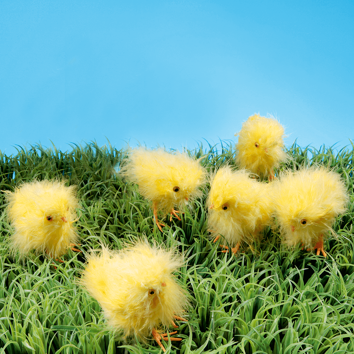 Deko-Küken, 6 Stück - 2 Deko-Küken, 6 Stück - 2