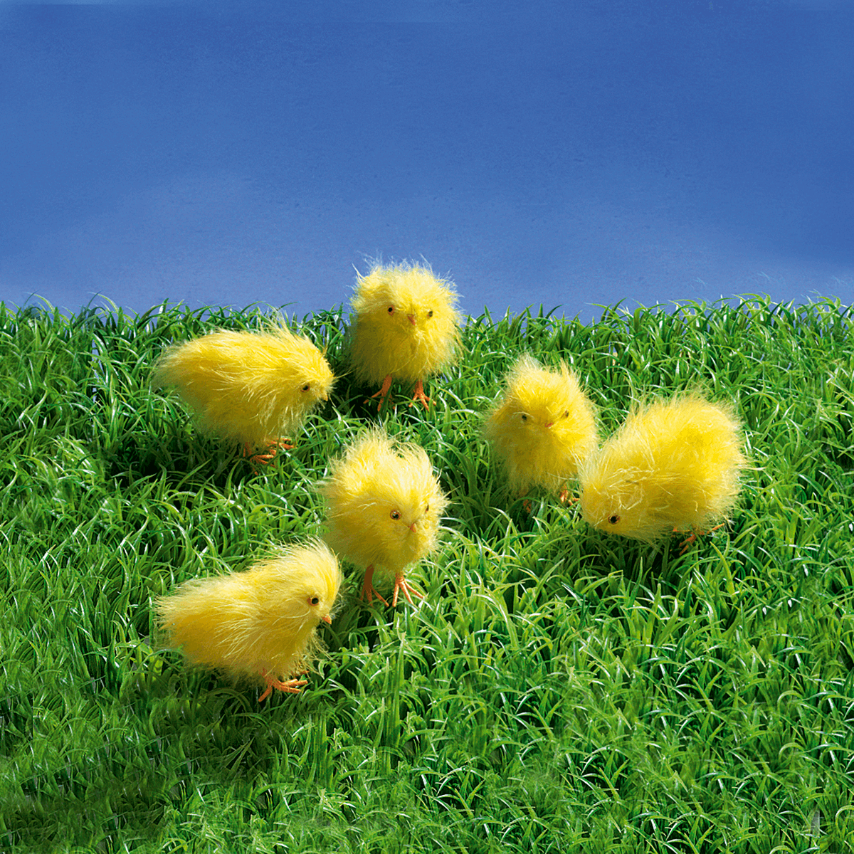 Deko-Küken, 6 Stück - 3 Deko-Küken, 6 Stück - 3