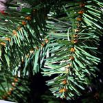 Schwer entflammbarer Weihnachtsbaum mit LED 210 cm - 2