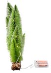 Table decor LED miniature firs length 100 cm - 7