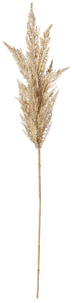 Decorative reed Pampas grass, 94 cm