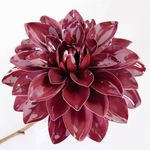 Artificial dahlia 56 cm burgundy - 1