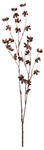 Decorative branch Cotton fruit stand 110 cm - 0