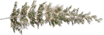 Hanging Artificial Christmas Tree Cedar with Frosted Needles and LED 300 cm - 1