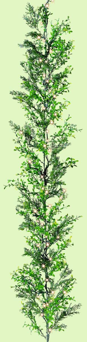 Box tree-cypresses tendril, length 170 cm - 3 Box tree-cypresses tendril, length 170 cm - 3