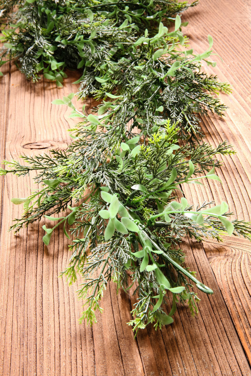 Box tree-cypresses tendril, length 170 cm - 2 Box tree-cypresses tendril, length 170 cm - 2