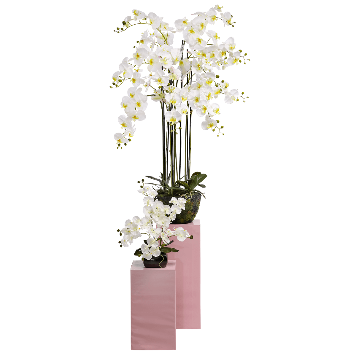 Kunstpflanze Orchidee in Schale weiß, 40 cm | DecoWoerner