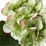 Fleur artificielle hortensia vert, 52 cm - 1