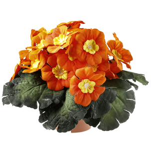 Primrose in pot 19 cm Ø orange