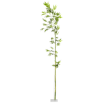 Bamboo branch, 190 cm - 1