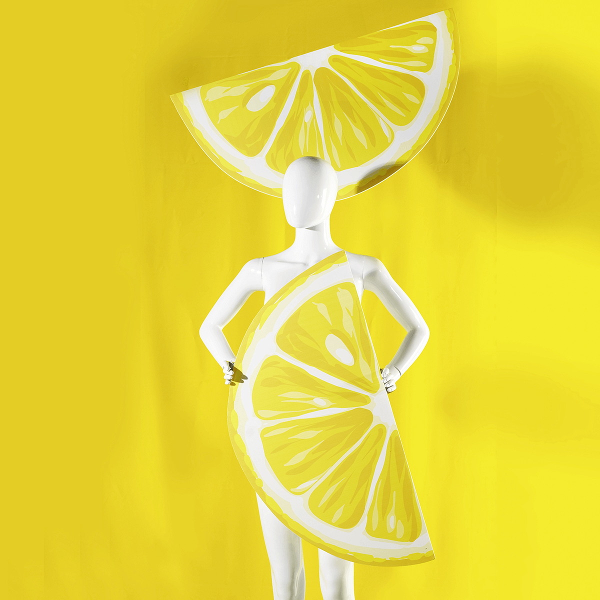 Display lemon slice 88 cm - 4 Display lemon slice 88 cm - 4