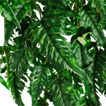 Flower Fern Tree 190cm - 2