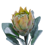 Fleur artificielle Protea verte, 72 cm - 1