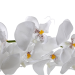 Guirnalda de orquídeas artificiales blancas 175 cm - 1