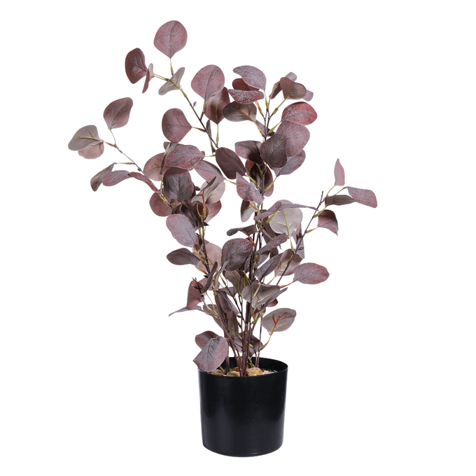 Kunstpflanze Eukalyptus im Topf, 60 cm | DecoWoerner
