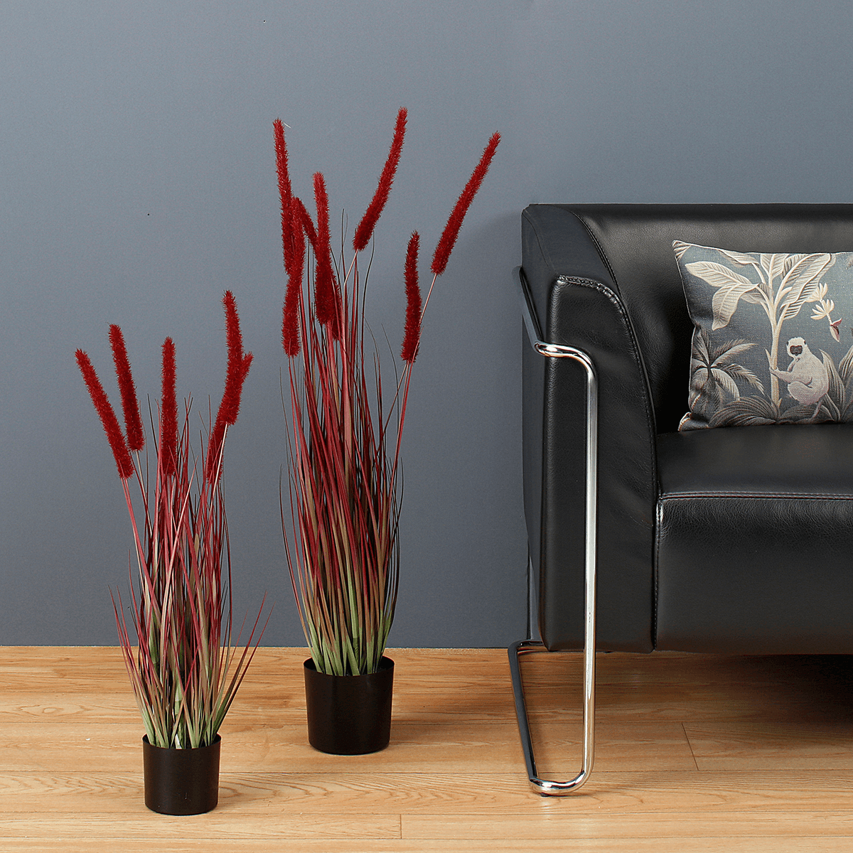 Rotes Deko-Federborstengras im schwarzen Topf 70 cm - 3