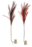 LED Pampas Grass Tuft Set with Battery, 118 cm long - 0