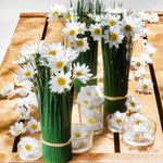 Decorative blossoms Marguerites, 72 pcs - 7