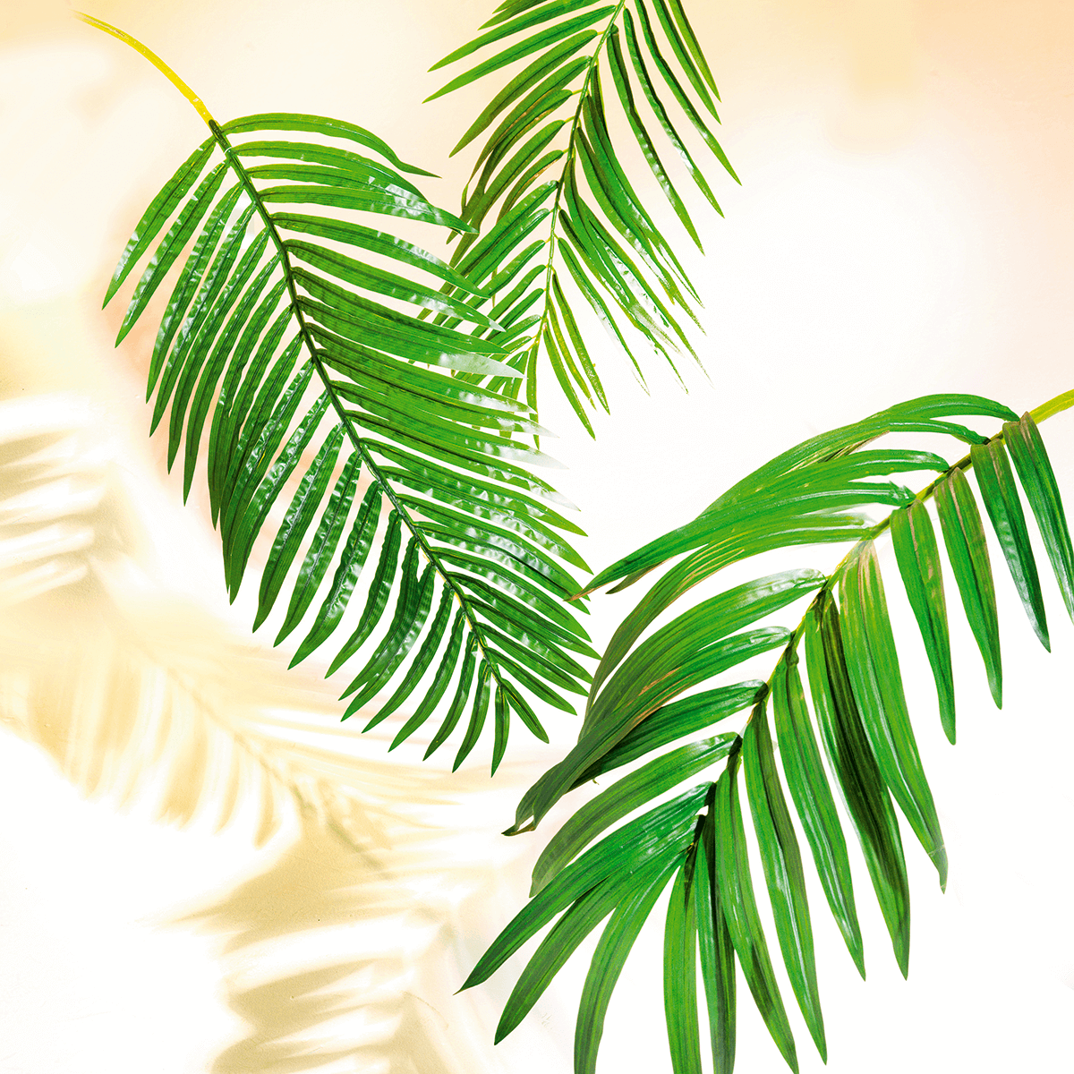 Decorative Royal palm branch, length 180 cm - 2 Decorative Royal palm branch, length 180 cm - 2