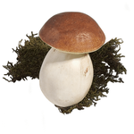 Porcini food replica 10 cm, 3 pcs - 4