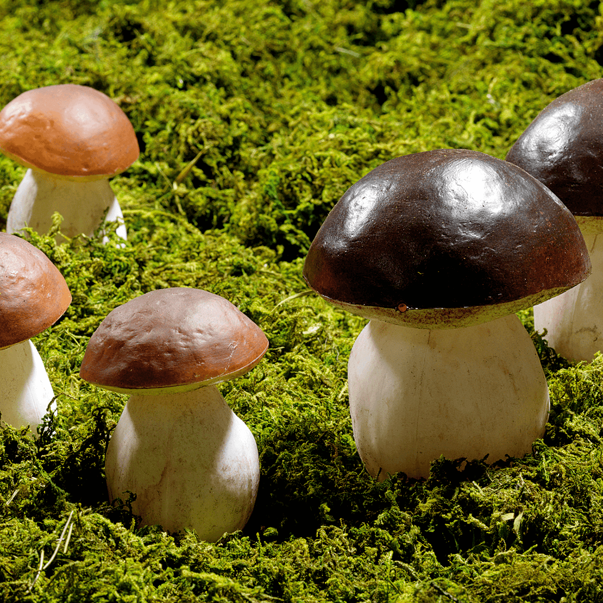 Porcini food replica 14 cm, 2 pcs - 4 Porcini food replica 14 cm, 2 pcs - 4