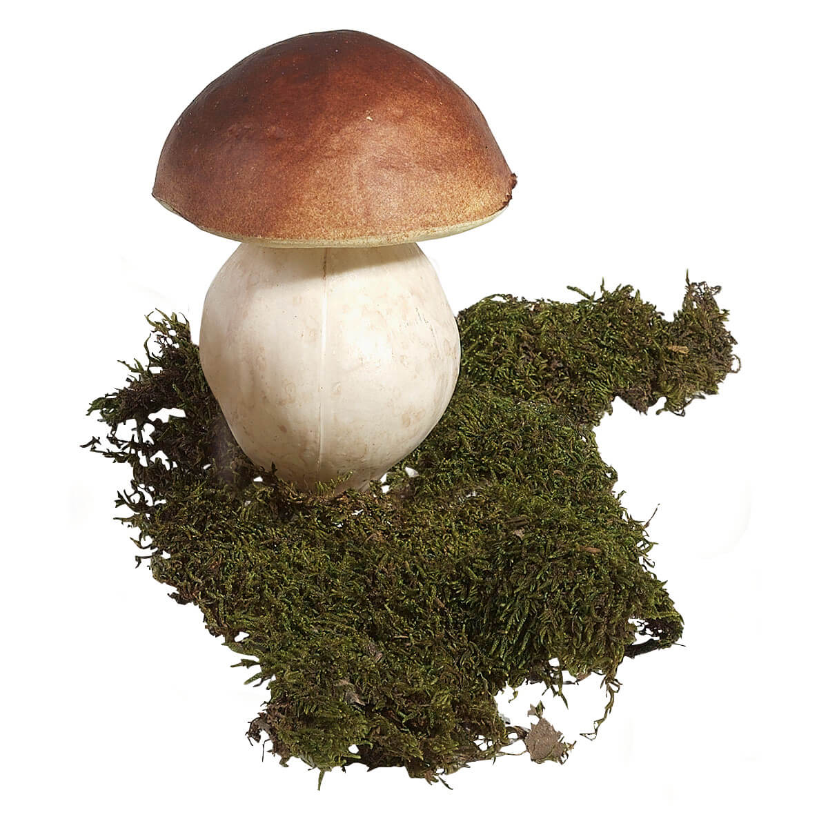 Porcini food replica 14 cm, 2 pcs - 1 Porcini food replica 14 cm, 2 pcs - 1