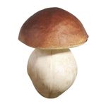 Porcini food replica 14 cm, 2 pcs - 0