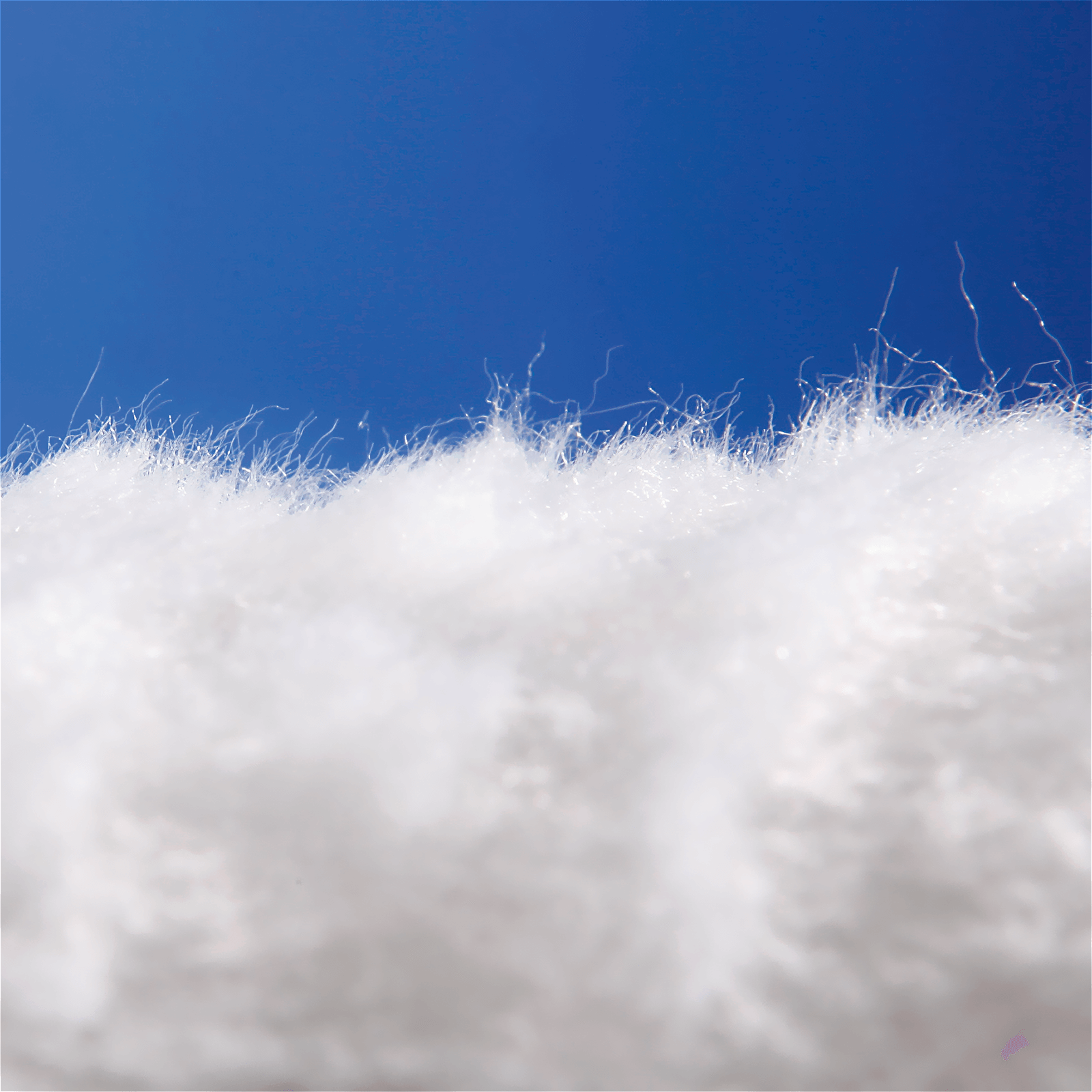 Plüsch weiß, 150 cm breit - 1 Plüsch weiß, 150 cm breit - 1