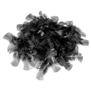 Decorative feathers black, 20 g