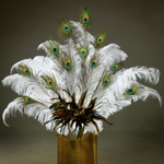 Peacock feathers, 10 pcs - 3