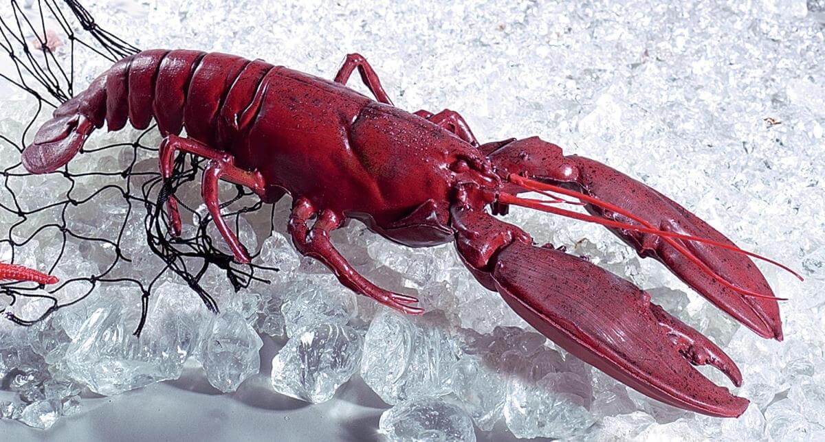 Bogavante alimento de imitación - 3 Bogavante alimento de imitación - 3