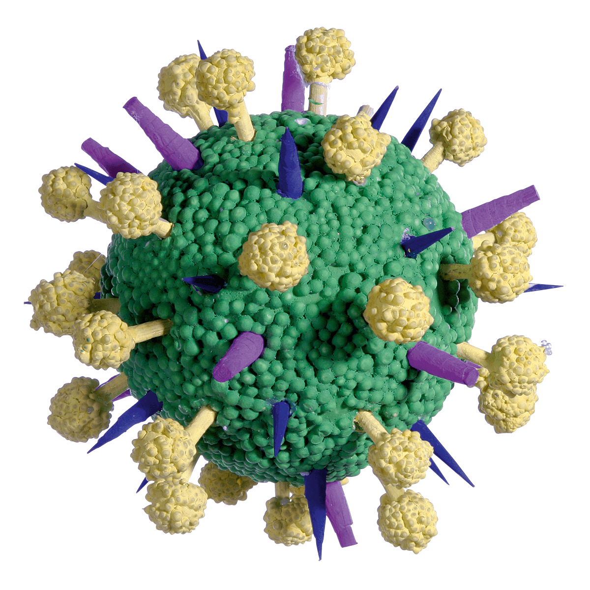 Deko-Objekt Riesen-Viren, 2 Stück - 1 Deko-Objekt Riesen-Viren, 2 Stück - 1